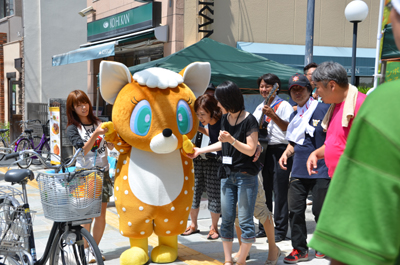 三条通を練り歩くシカの白ちゃん