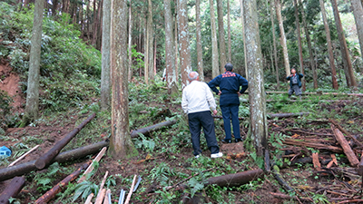 月ヶ瀬・嵩地区(民家の裏山地すべりの危険)