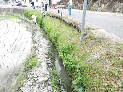 道路改修立ち合い