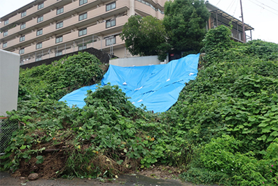 土砂崩れの現場