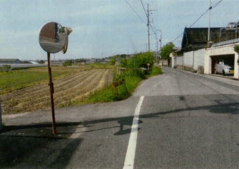 ʍssւ̓H